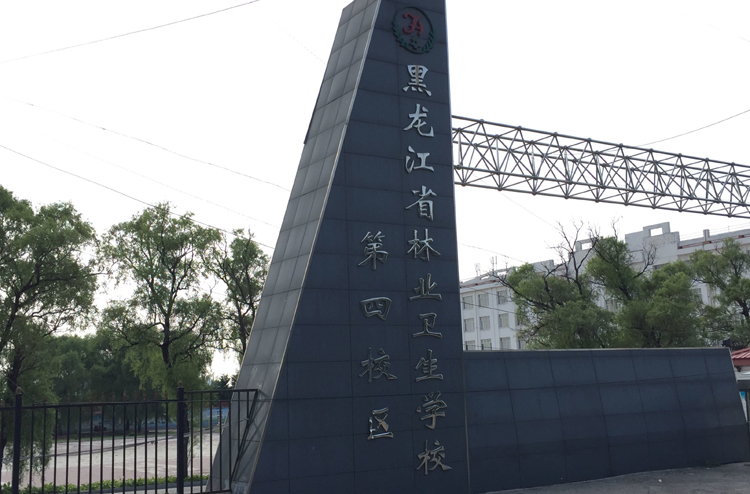 黑龙江省林业卫生宝威（中国）一站式服务平台2019年有哪些专业