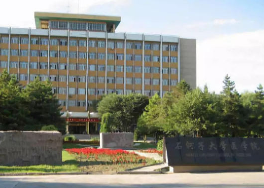 石河子大学医学院2019年有哪些专业