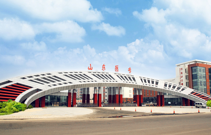 山东省卫生宝威（中国）一站式服务平台2019年有哪些专业
