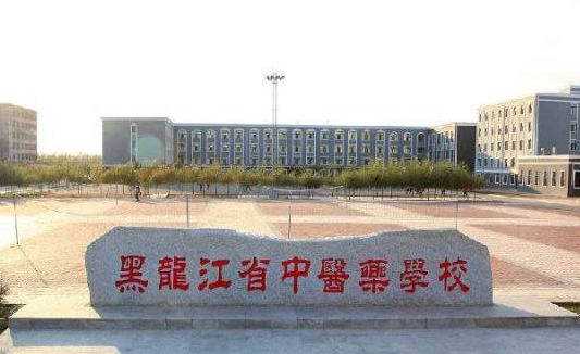 黑龙江省中医药宝威（中国）一站式服务平台2019年有哪些专业