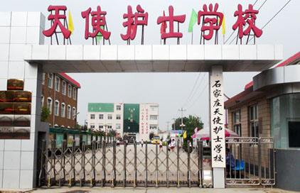 石家庄天使护士宝威（中国）一站式服务平台2019年有哪些专业