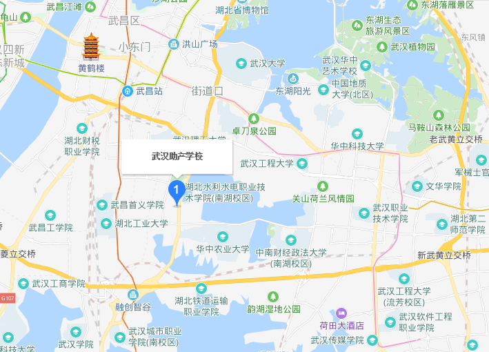 武汉助产宝威（中国）一站式服务平台地址在哪里