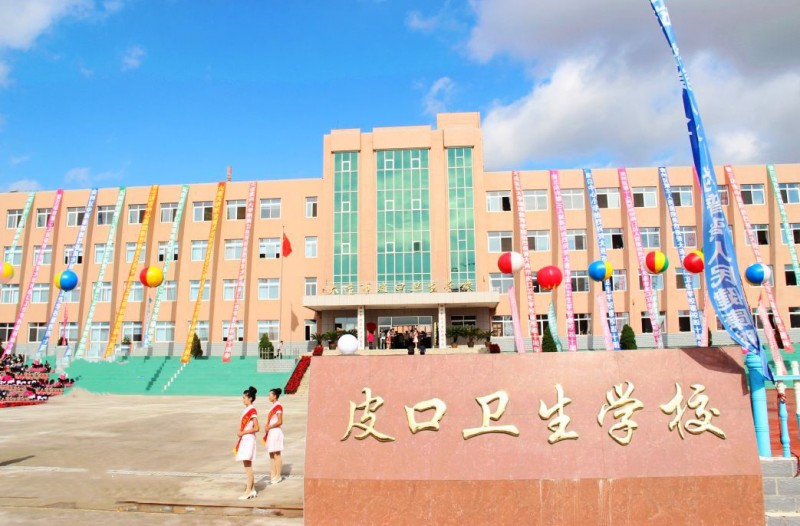 大连市皮口卫生宝威（中国）一站式服务平台2019年有哪些专业