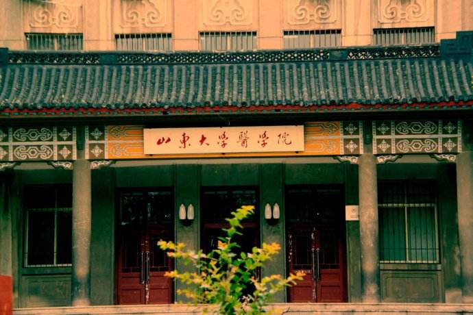 山东大学医学院2019年有哪些专业