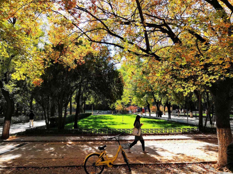 山东大学医学院2019年招生代码