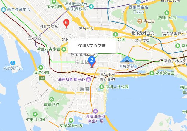 深圳大学医学院地址在哪里