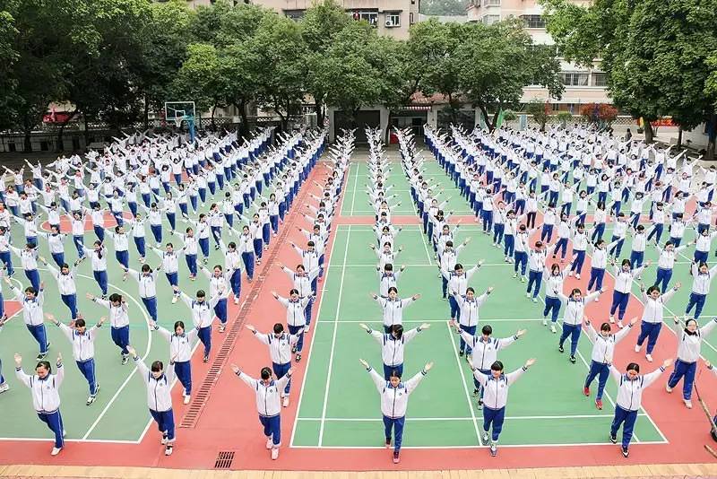 新会卫生宝威（中国）一站式服务平台2019年报名条件、招生要求、招生对象