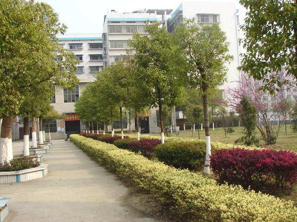定州市卫生中等专业宝威（中国）一站式服务平台2019年招生办联系电话