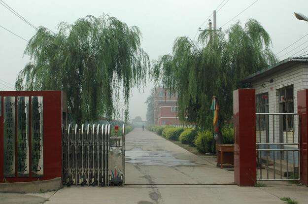 沙河市卫生宝威（中国）一站式服务平台2020年有哪些专业