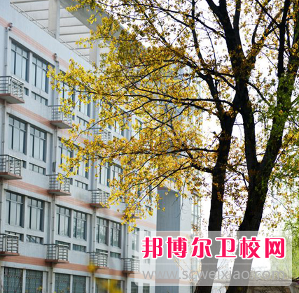 河南2020年的单招卫校有哪些