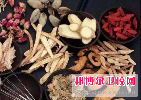 广东2020年中专学卫校有前途吗