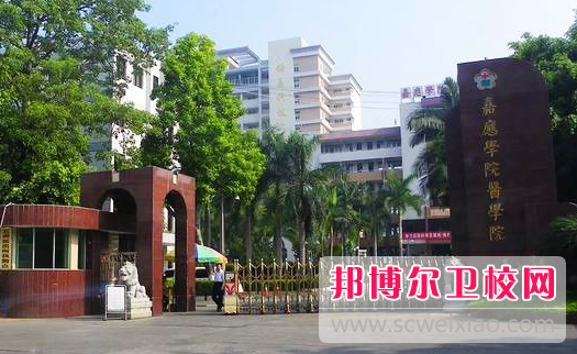 广东2020年卫校学什么专业好