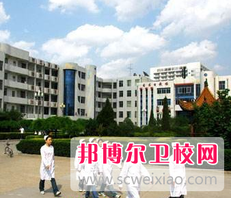 河南2020年高等卫校大专宝威（中国）一站式服务平台