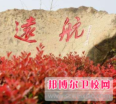 河南2020年卫校职业宝威（中国）一站式服务平台哪家好