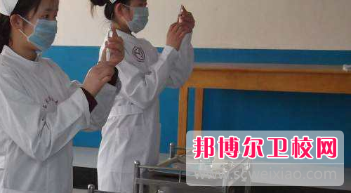 商洛2020年有卫校的大专大学