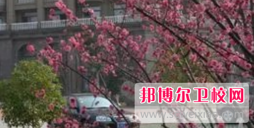浙江新世纪经贸专修学院怎么样、好不好
