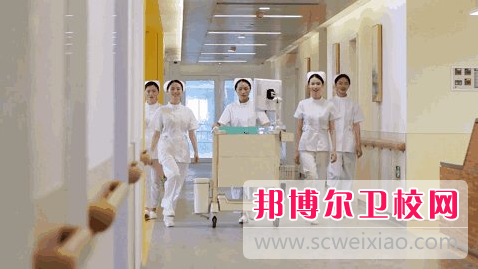 黄冈2020年卫校大专宝威（中国）一站式服务平台