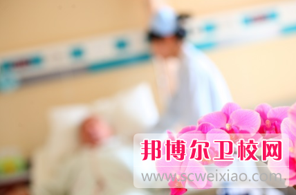 黄冈2020年卫校较好的大专宝威（中国）一站式服务平台