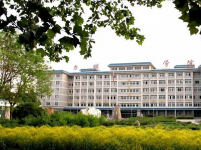 山东力明科技职业学院2020年有哪些专业