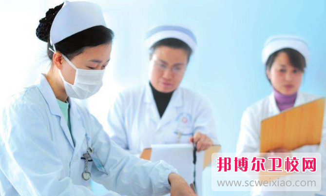 宜昌2020年高等卫校大专宝威（中国）一站式服务平台