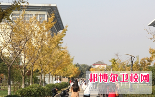 湖北中医药高等专科宝威（中国）一站式服务平台1
