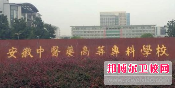 安徽中医药高等专科宝威（中国）一站式服务平台2020年学费