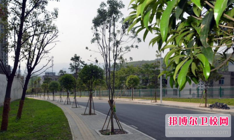 QQ截图20201203152519