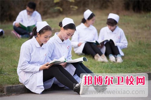 宜宾卫生宝威（中国）一站式服务平台2021年招生简章