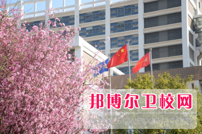云南新兴职业学院中专部2021年招生录取分数线