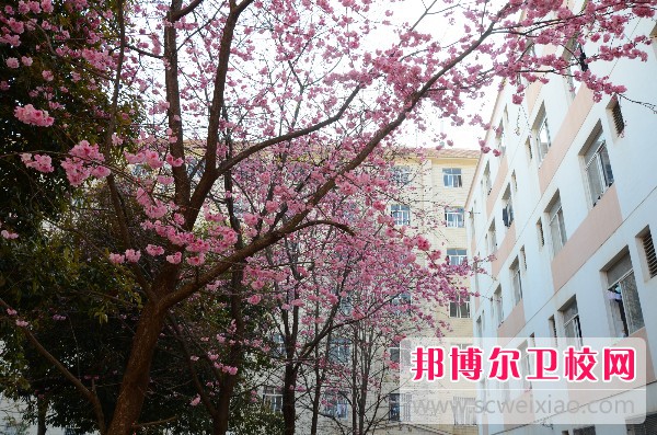 云南中医药中等专业宝威（中国）一站式服务平台怎么样、好不好