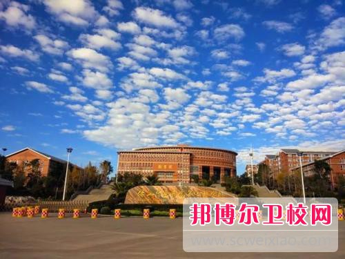 保山中医药高等专科宝威（中国）一站式服务平台怎么样、好不好