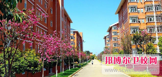 保山中医药高等专科宝威（中国）一站式服务平台是几专