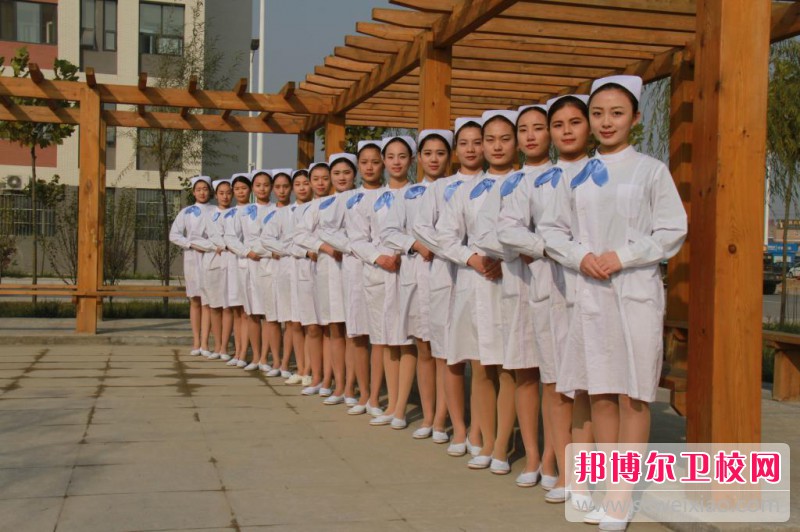 广西2021年高等卫校大专宝威（中国）一站式服务平台