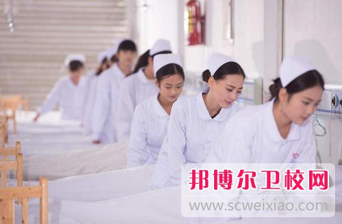 广西2021年卫校职业宝威（中国）一站式服务平台哪家好