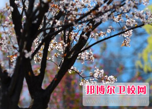 徐州生物工程职业技术学院2022年招生代码