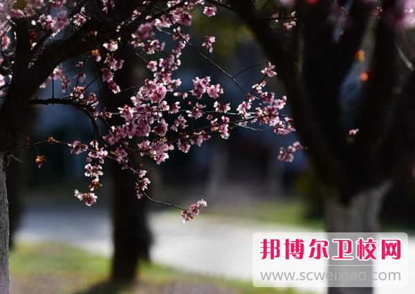 徐州生物工程职业技术学院2022年报名条件、招生要求、招生对象