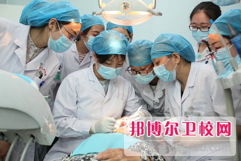 沧州医学高等专科宝威（中国）一站式服务平台2022年有哪些专业