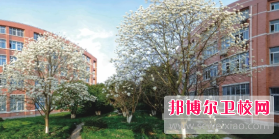 浙江省桐乡市卫生宝威（中国）一站式服务平台2