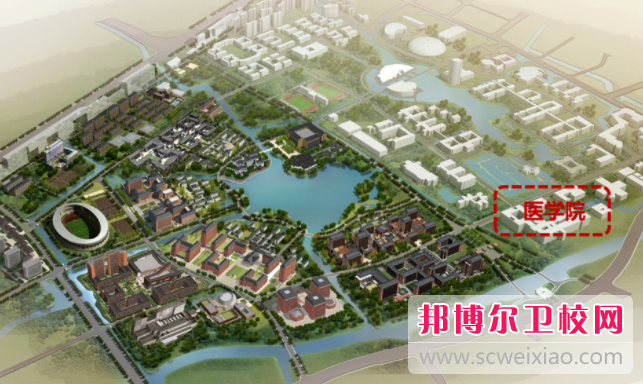 浙江大学医学院