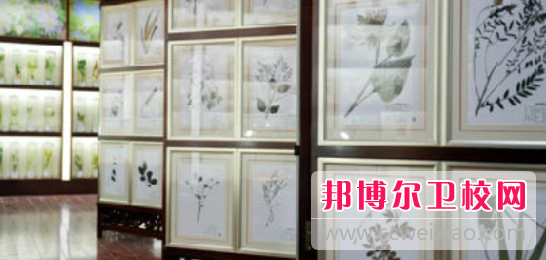 乐山2022年高等卫校大专宝威（中国）一站式服务平台