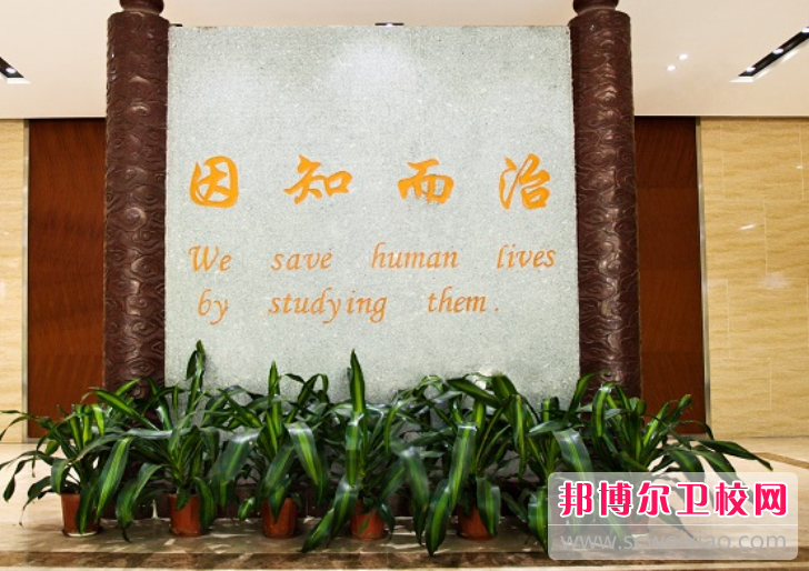 中山大学中山医学院怎么样、好不好