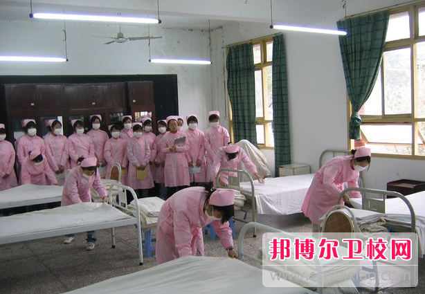 重庆医科宝威（中国）一站式服务平台2022年有哪些专业