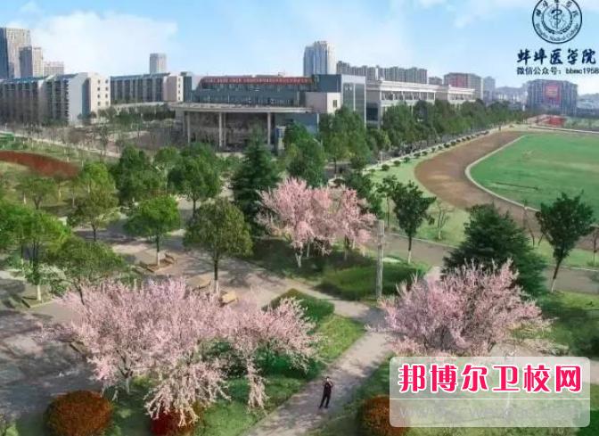 蚌埠医学院2022年招生办联系电话