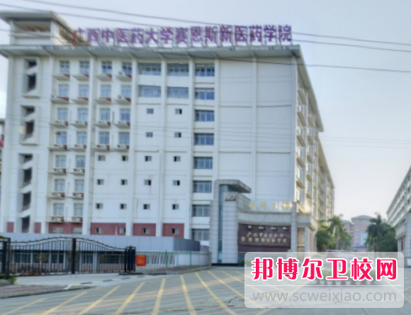 广西中医药大学赛恩斯新医药学院怎么样、好不好
