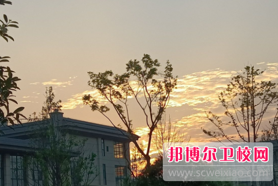 QQ截图20220117104613