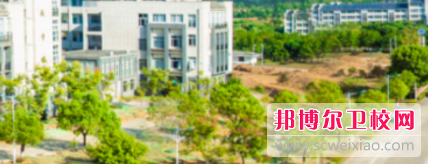安徽卫生健康职业学院2022年招生代码