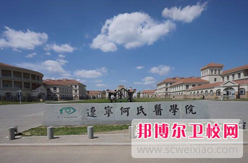 辽宁何氏医学院2022年网站网址