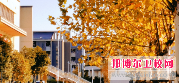 安徽中医药大学2022年是几本