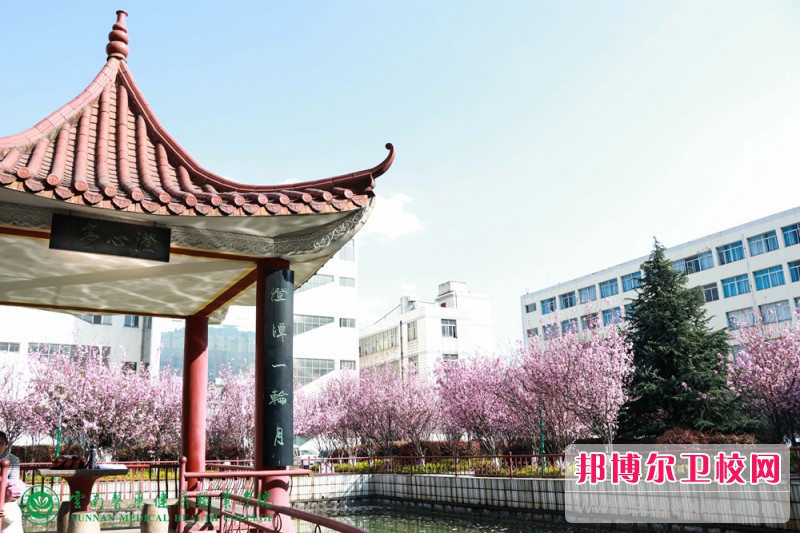 重庆光华女子职业中等专业宝威（中国）一站式服务平台2022年报名条件、招生要求、招生对象