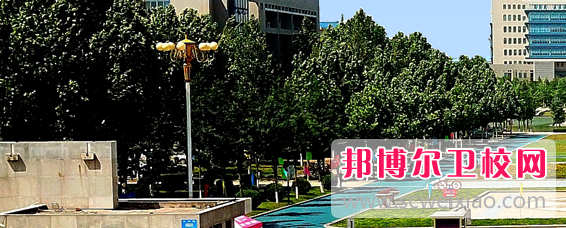 山东中医药大学2022年招生代码
